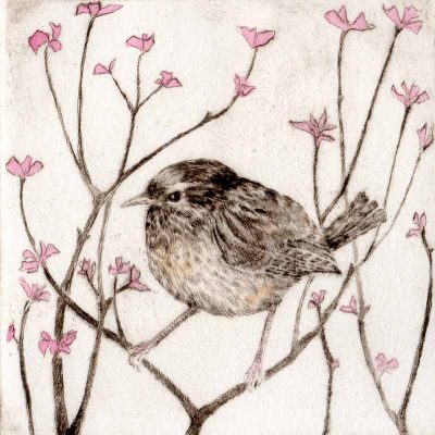 amongst the blossom print by Sarah Bays