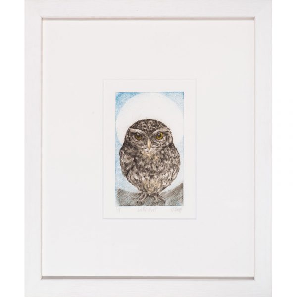 Little owl drypoint print by Sarah Bays