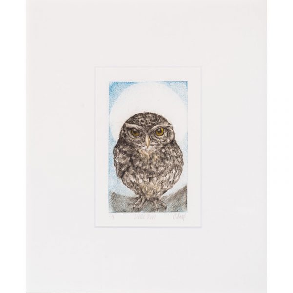 Little owl drypoint print by Sarah Bays