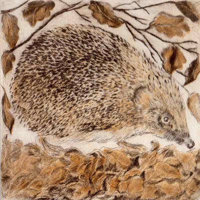Hogging the Hedge print by Sarah Bays
