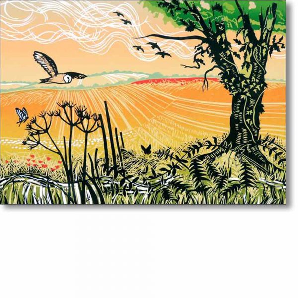 Greeting card of 'Wild Patch' by Rob Barnes
