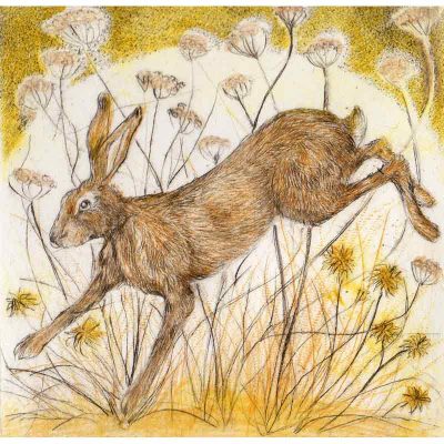 Drypoint 'Midsummer Madness' by Sarah Bays