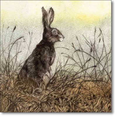 Greeting card of 'Sentry' by Sarah Bays