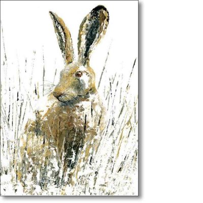 Greeting card of 'Snow Hare' by Sarah Pye