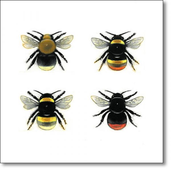 Greeting Card of 'Bumblebee Queens' by Louise Bird