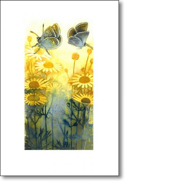 Greeting Card of 'Butterflies and Ox-Eye Daisies' by Louise Bird