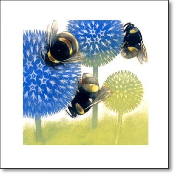 Greeting Card of 'Echinops in Flower' by Louise Bird