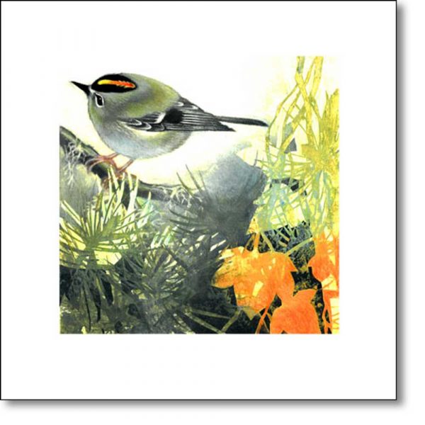 Greeting Card of 'Goldcrest' by Louise Bird