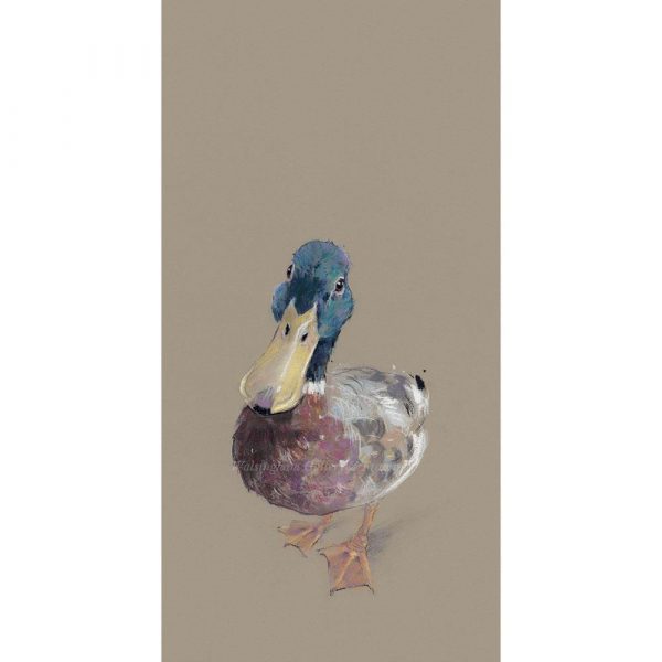 Limited edition print 'Lord Love a Duck' by Nicky Litchfield