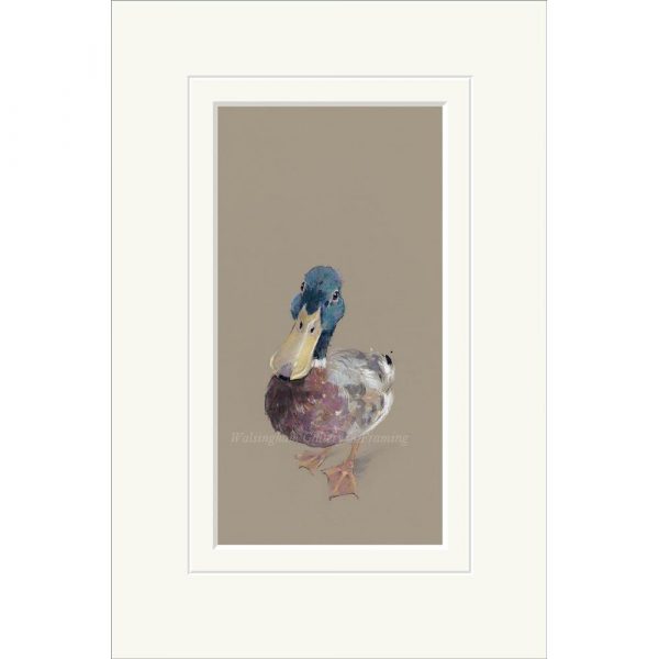 Mounted limited edition print 'Lord Love a Duck' by Nicky Litchfield