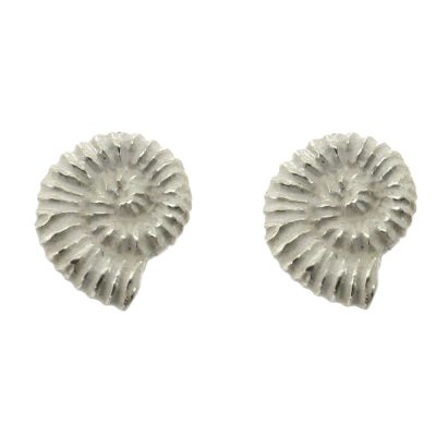 Sterling silver ammonite stud earrings
