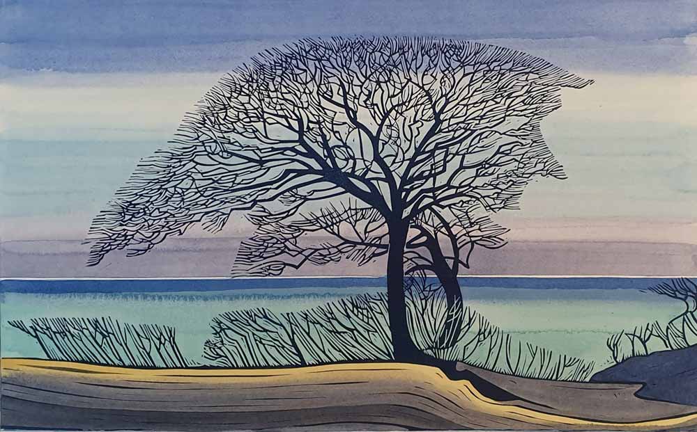 linocut and watercolour artwork of tree entitled 'Wells Oak' by Nicholas Barnham