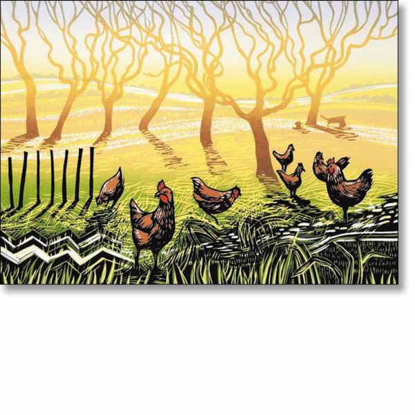 Greetings card of 'Sunrise Chickens' by Rob Barnes