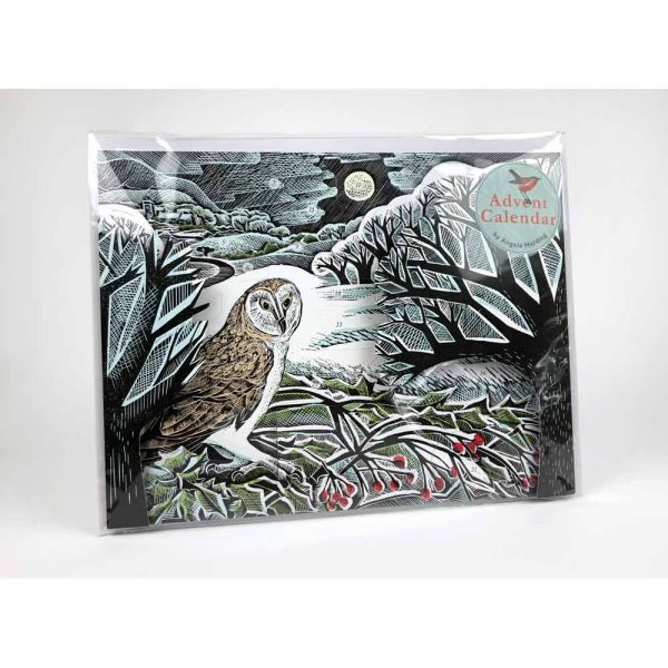 Wrapped freestanding Advent Calendar of 'Owl in Winter Advent Calendar' by Angela Harding