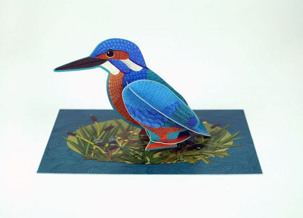 Display of 'Kingfisher' by Alice Melvin