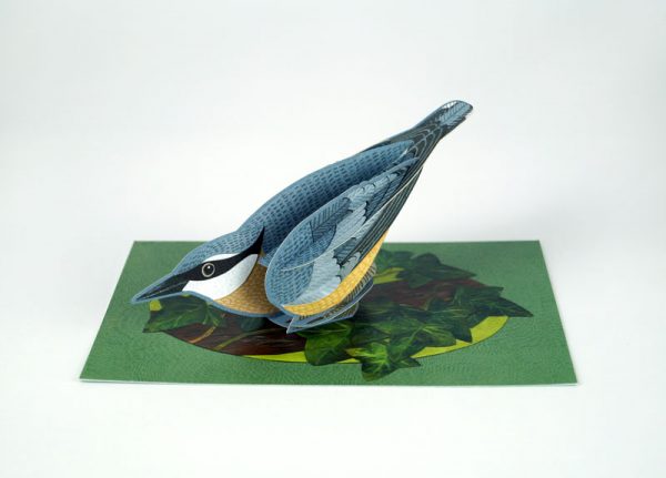 Display of 'Nuthatch' by Alice Melvin