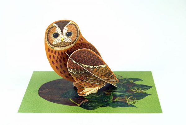 Display of 'Tawny Owl' by Alice Melvin