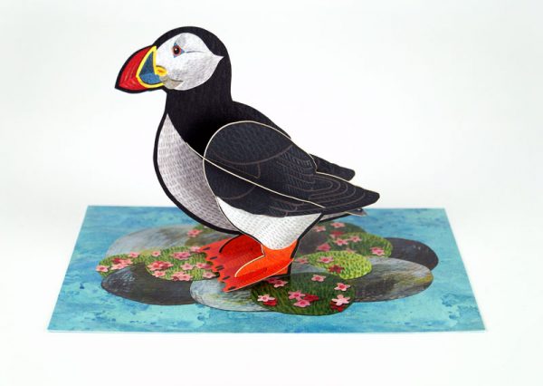 Display of 'Puffin' by Alice Melvin