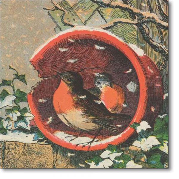 Christmas Card of 'Flowerpot Robins' an illustration from The Bright Surprise for Little Eyes
