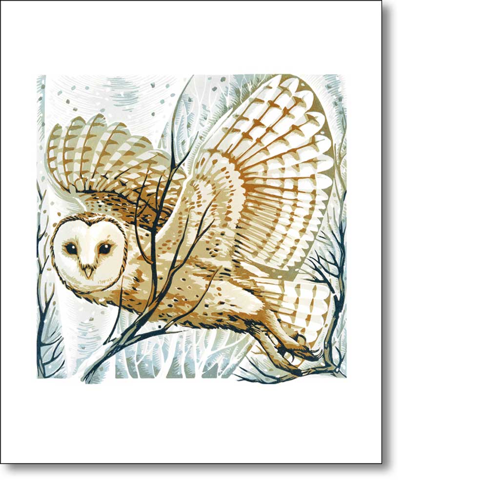 Greeting card of 'Barn Owl, Winter Branches' by Martin Truefitt-Baker