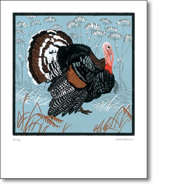 Greeting card of 'Norfolk Black Turkey' by Robert Gillmor