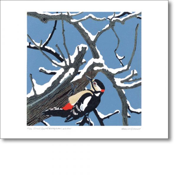 Greeting card of 'Great Spotted Woodpecker' by Robert Gillmor