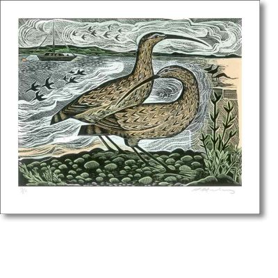 Greetings card 'Two Curlews on the Deben' by Angela Harding