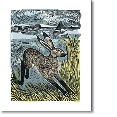 Greetings card 'Young Hare' by Angela Harding