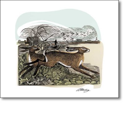 Greetings card of 'Hares at Orford Ness' by Angela Harding