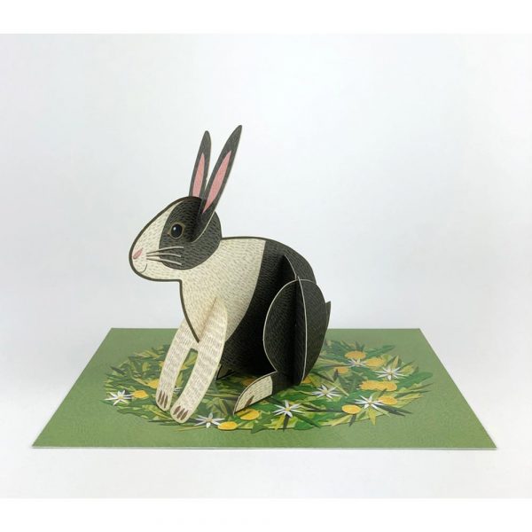 Display of pop-out 'Rabbit' by Alice Melvin