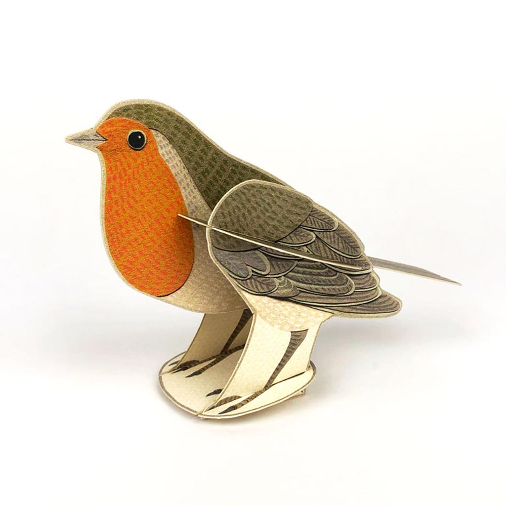 Pop-out 'Robin' by Alice Melvin