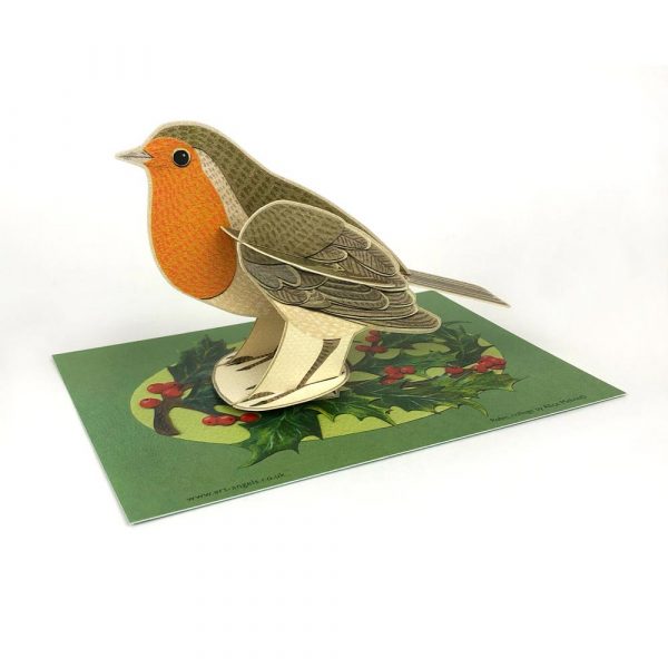 Display of pop-out 'Robin' by Alice Melvin