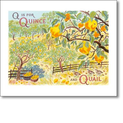 Greetings card 'Q is for Quince and Quail' by Emily Sutton