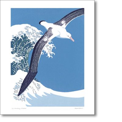 Greetings card 'Wandering Albatross' by Robert Gillmor
