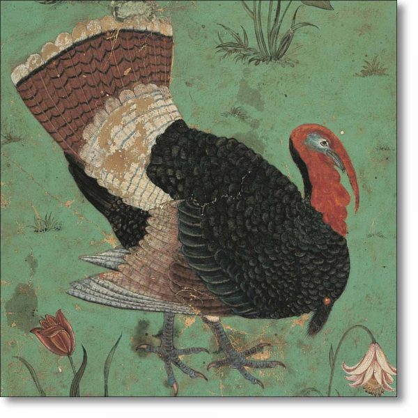Christmas Card 'A Turkey Cock' from a Mughal miniature, c.1630