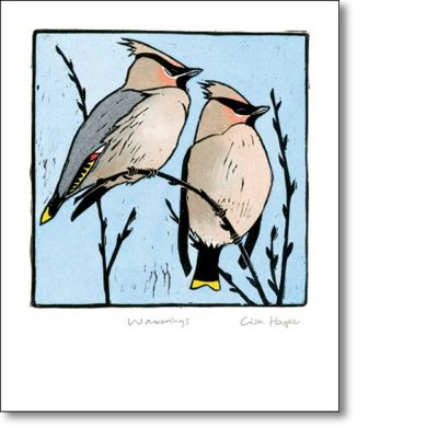 Greetings card of 'Waxwings' by Lisa Hooper