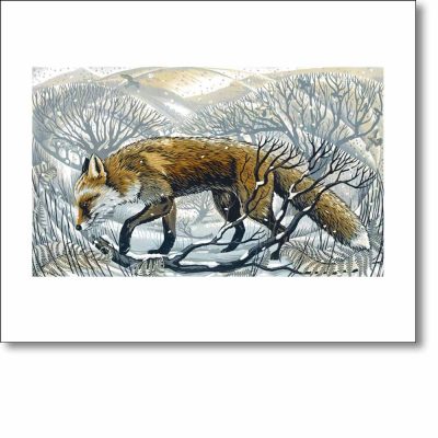 Greetings Card 'Winter Fox' by Martin Truefitt-Baker