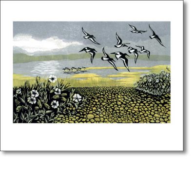Greetings card of 'Blakeney Oyster Catchers' by Niki Bowers