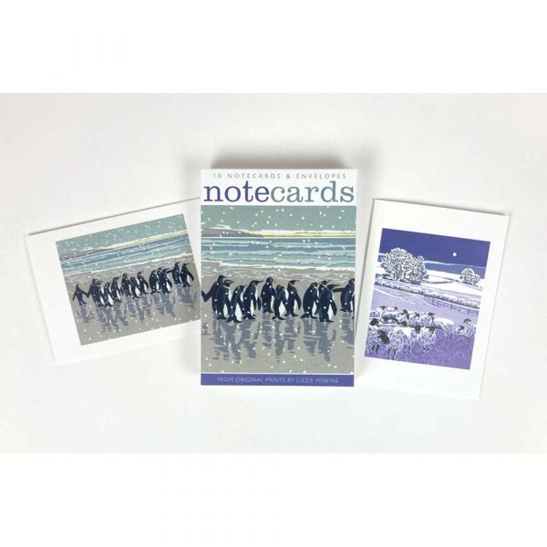 Notecard pack of 'Snowy Beach Kings & Flocks by Night' by Lizzie Perkins