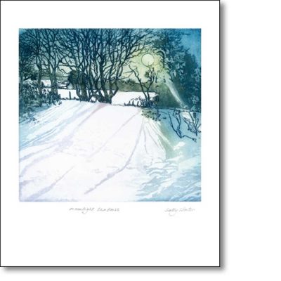 Greetings card 'Moonlight Shadows' by Sally Winter