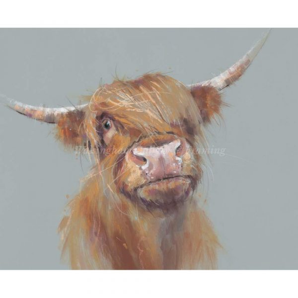 Limited Edition Print 'Brodie' by NIcky Litchfield