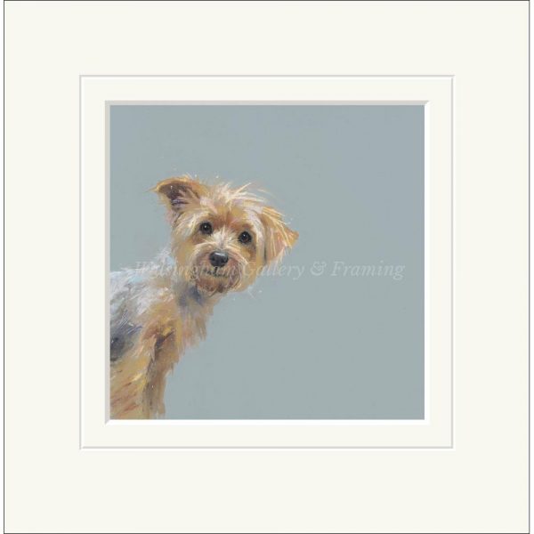 Limited Edition Print 'Yorkie' (mounted) by Nicky Litchfield