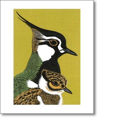 Greetings card 'Peewit & Son' by Robert Gillmor