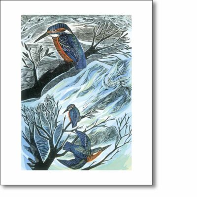 Greetings card 'Suffolk Kingfishers' by Angela Harding