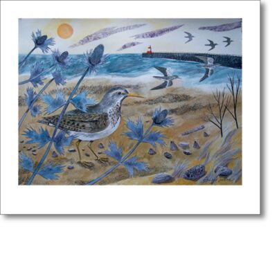 Greetings card 'Sandpipers with Sea Holly' by Emily Sutton