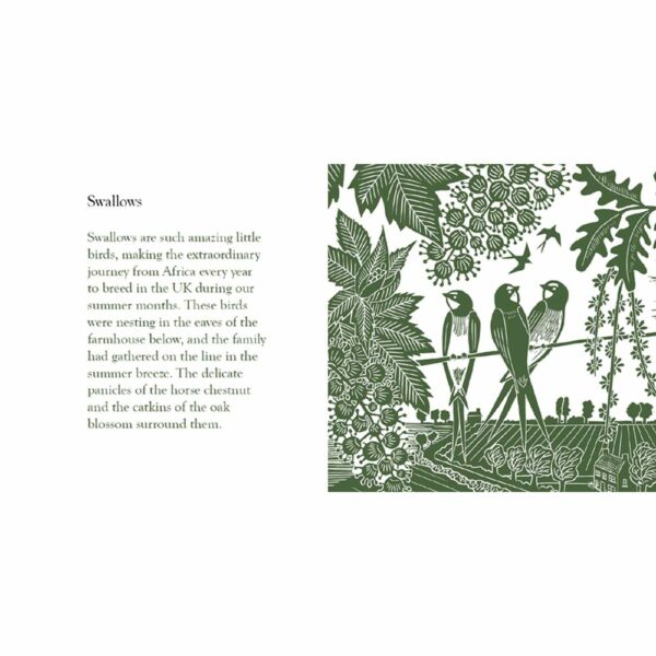Page from Birds of a Feather, 'Swallows' by Kate Heiss