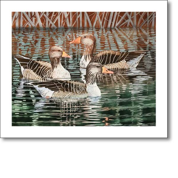 Greetings card 'Greylags' by Lisa Hooper