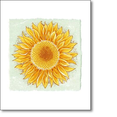 Greetings card 'Sunflower for Ukraine' by Angie Lewin