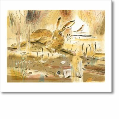 Greetings card 'Resting Hare' by Andrew Waddington