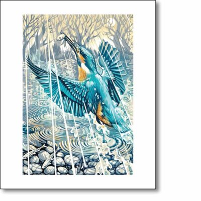 Greetings card 'Kingfisher, Evening Rain' by Martin Truefitt Baker